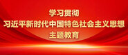 黑人大吊草逼学习贯彻习近平新时代中国特色社会主义思想主题教育_fororder_ad-371X160(2)